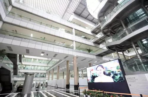 东莞对这类资源的挖掘也是蛮拼 你一定也被影响过 文艺创作